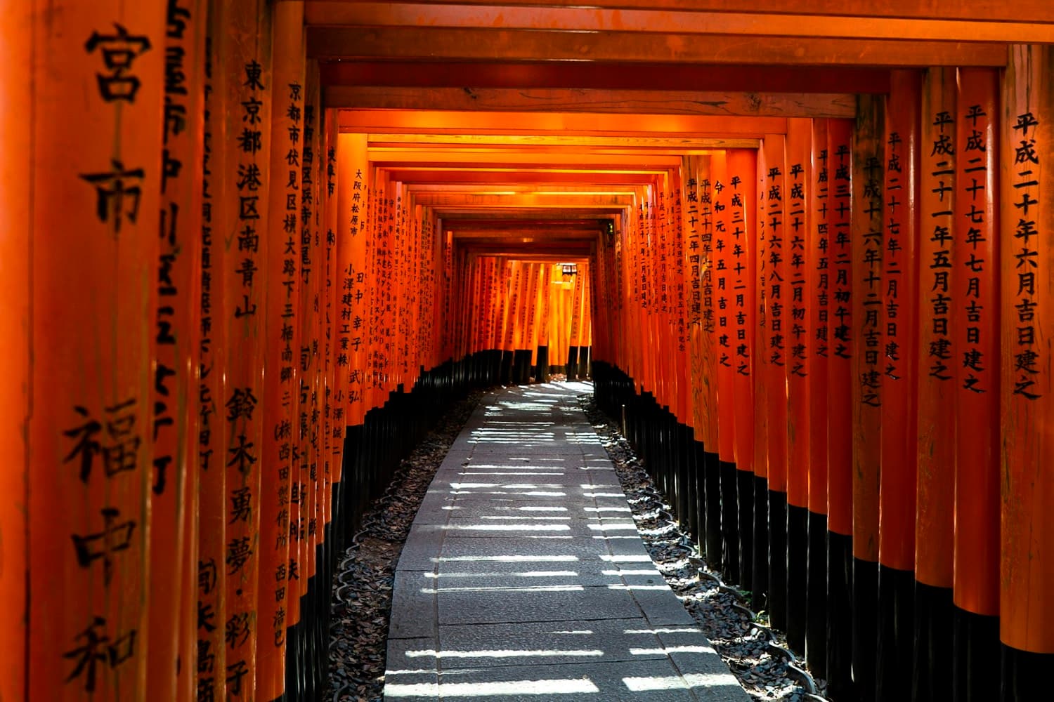 I mille torii di Fushimi Inari