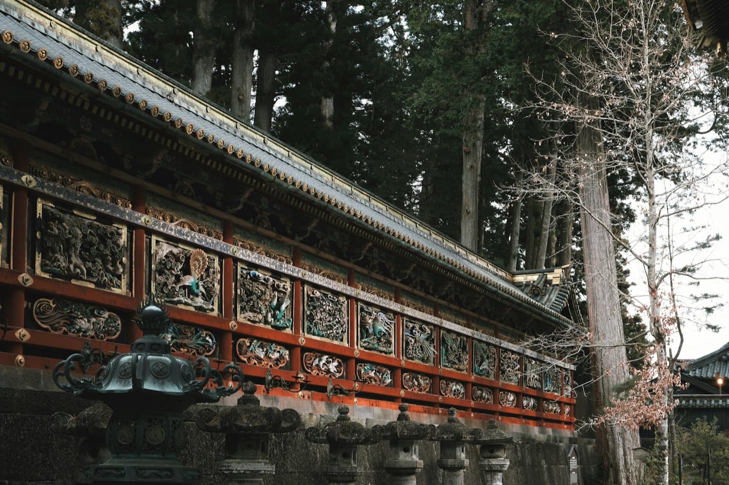 Gli intagli dorati e colorati del santuario Toshogu di Nikko, tra i cedri secolari