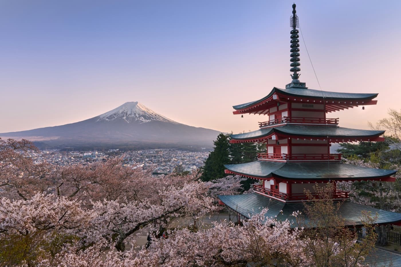La pagoda Chureito con il Monte Fuji e i ciliegi in fiore: l'immagine simbolo del Giappone