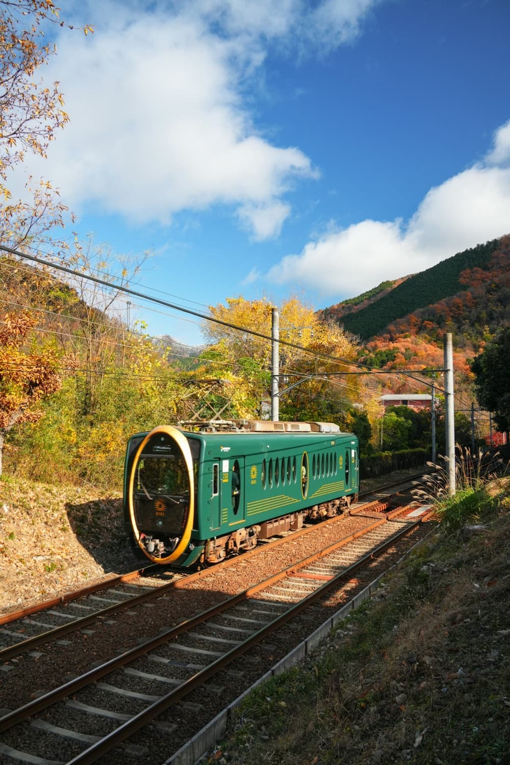 Un treno verde di una ferrovia privata del Kansai attraversa una valle tra gli aceri d'autunno