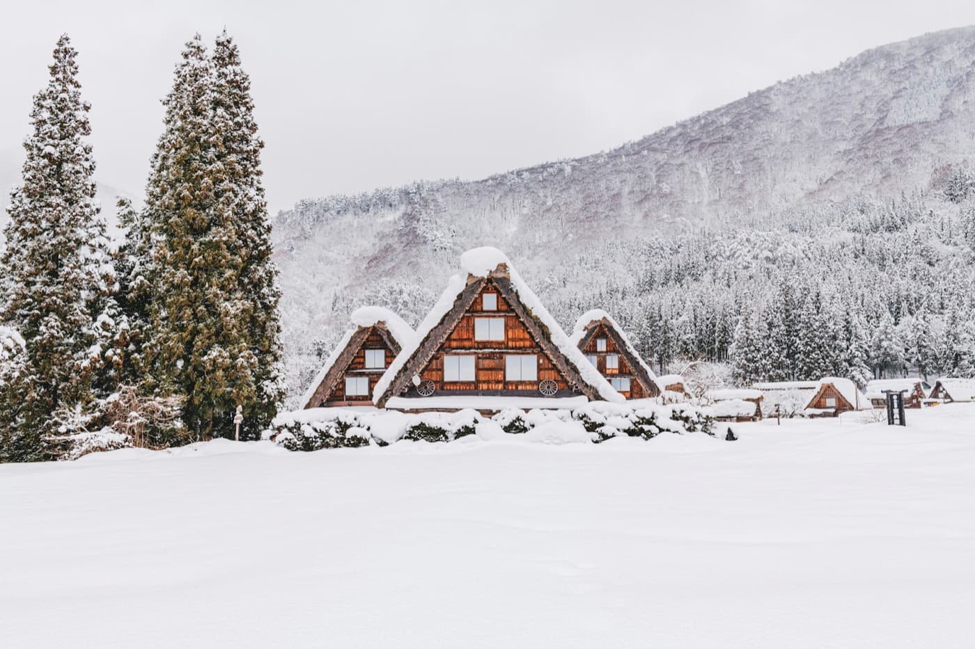 Le case gassho-zukuri di Shirakawa-go con i tetti di paglia coperti di neve, tra gli alberi e le montagne