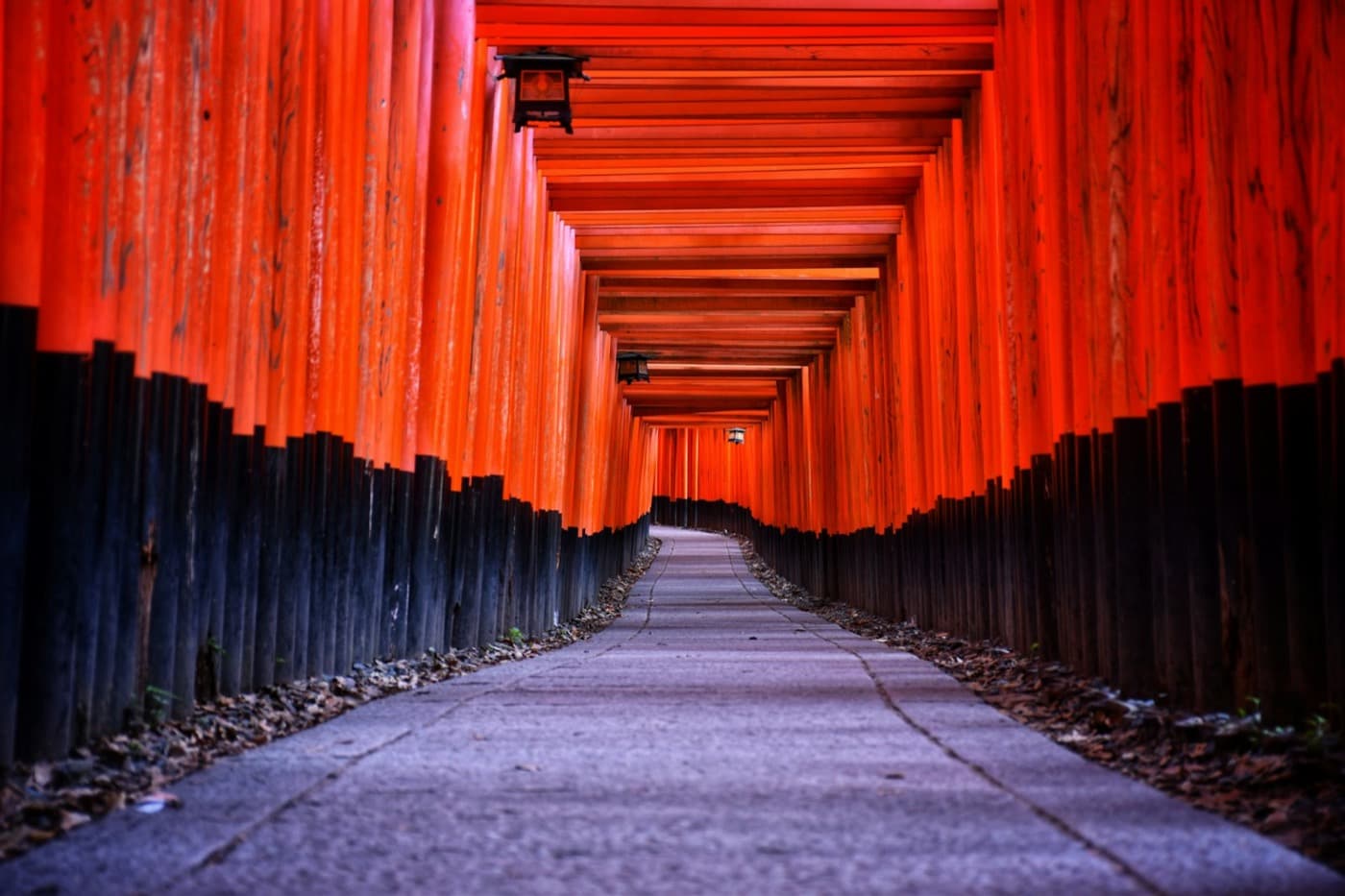 Una fila di torii rossi che formano un tunnel lungo un sentiero di pietra