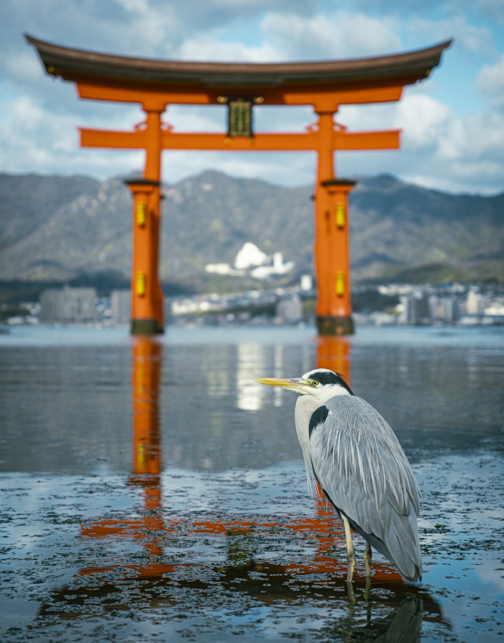 Il torii rosso di Miyajima che si erge sul mare, uno dei simboli del Giappone