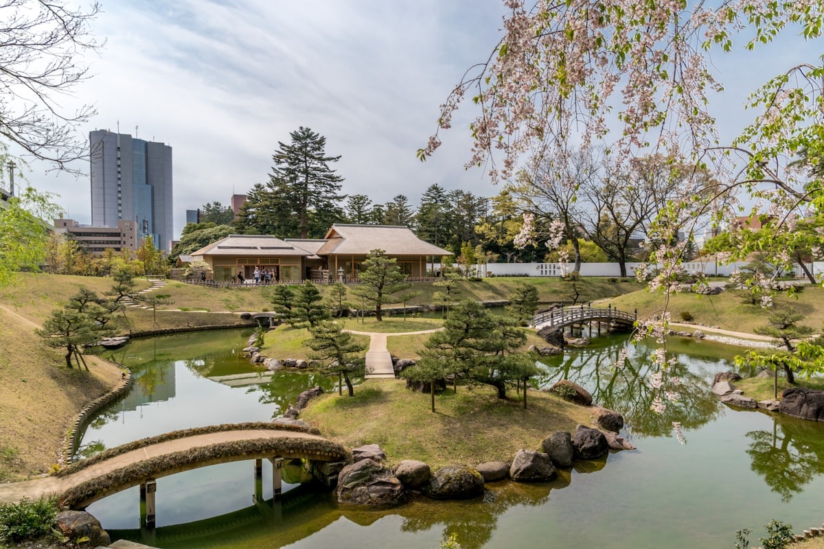 Un giardino giapponese con laghetti, ponti e ciliegi in fiore, con la città sullo sfondo