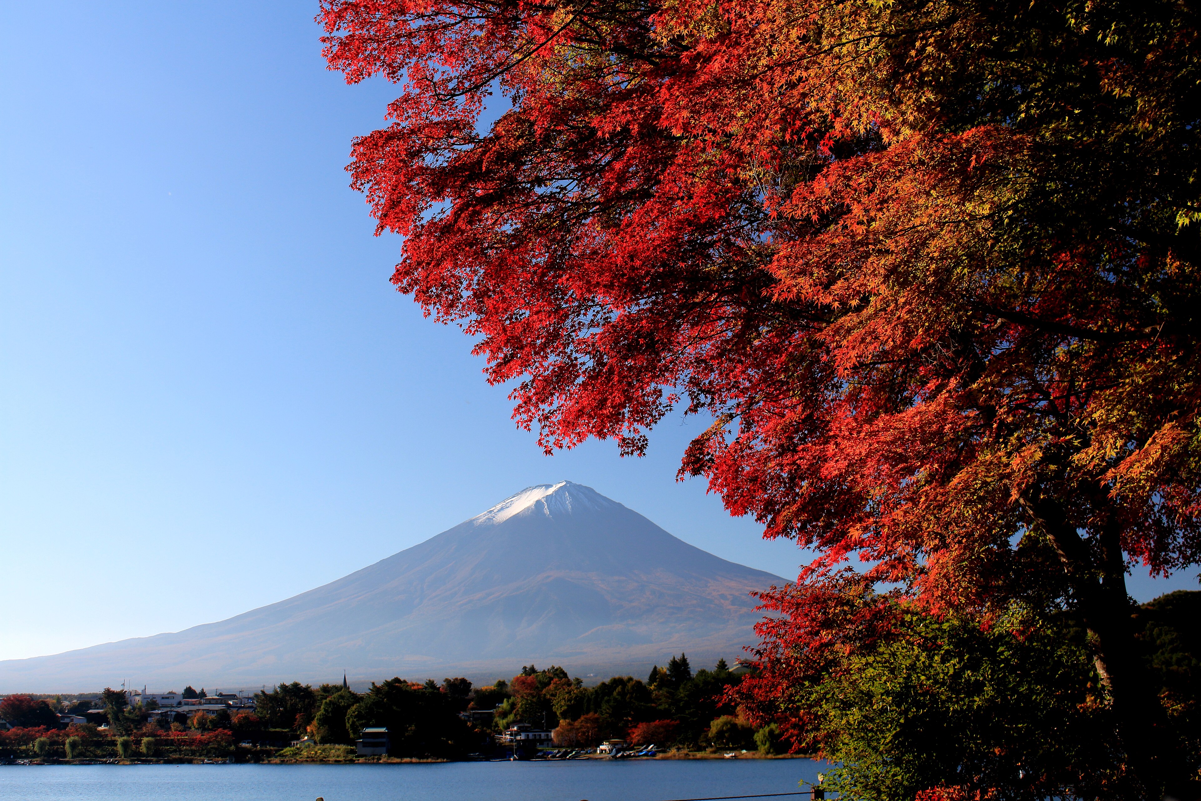Le foglie autunnali ai piedi del Monte Fuji: ottobre è uno dei mesi migliori per avvicinarsi alla montagna