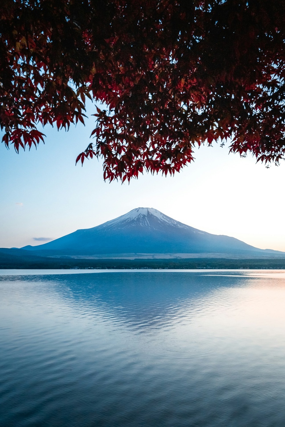 Il Monte Fuji in autunno riflesso nel lago di Kawaguchiko