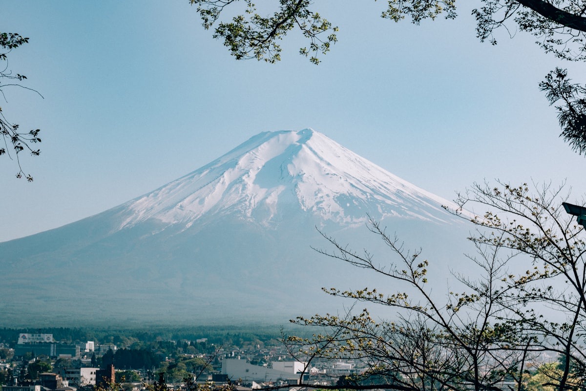 Il Monte Fuji innevato visto tra i rami degli alberi, con una cittadina ai suoi piedi
