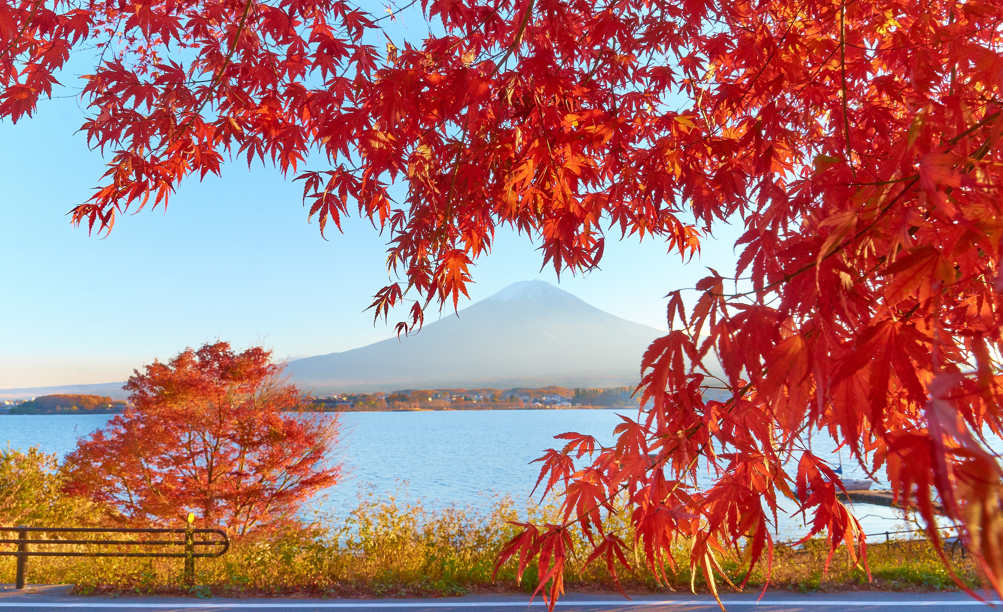 Il Monte Fuji riflesso nel lago Kawaguchi circondato da foglie rosse d'autunno