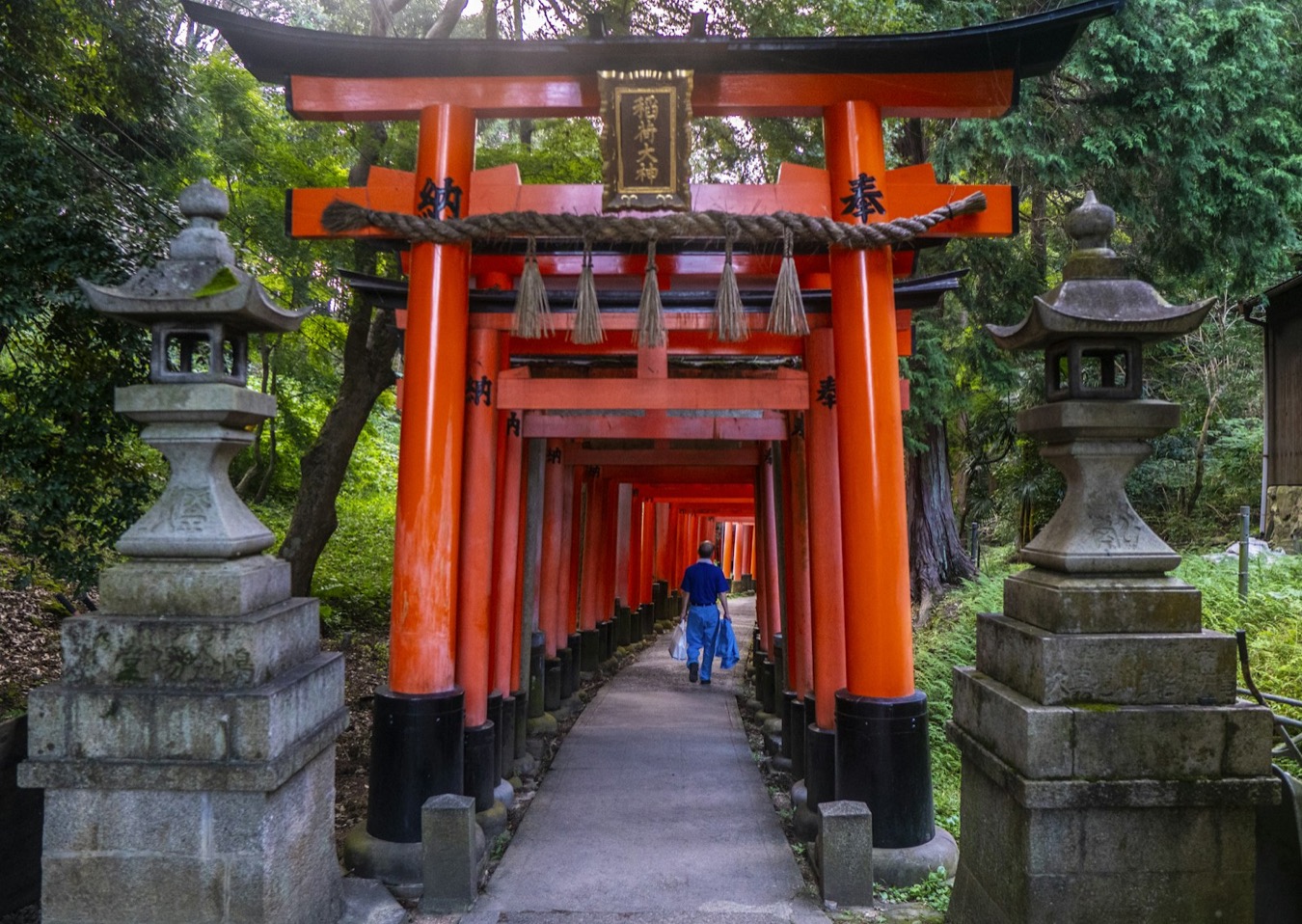 L'ingresso di un sentiero di torii a Fushimi Inari, con le lanterne di pietra e la targa del santuario
