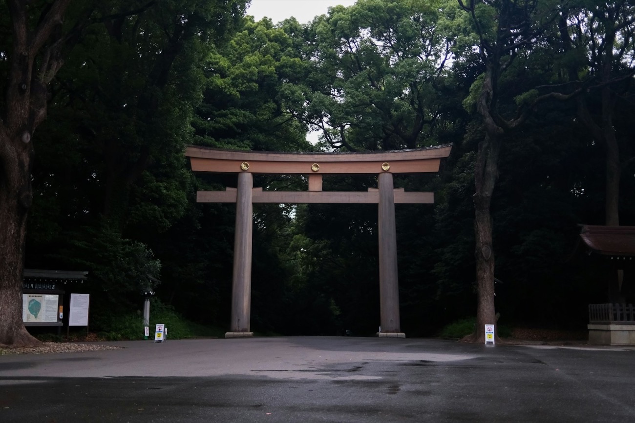 Il grande torii di legno del santuario Meiji, a Tokyo, immerso in una foresta silenziosa