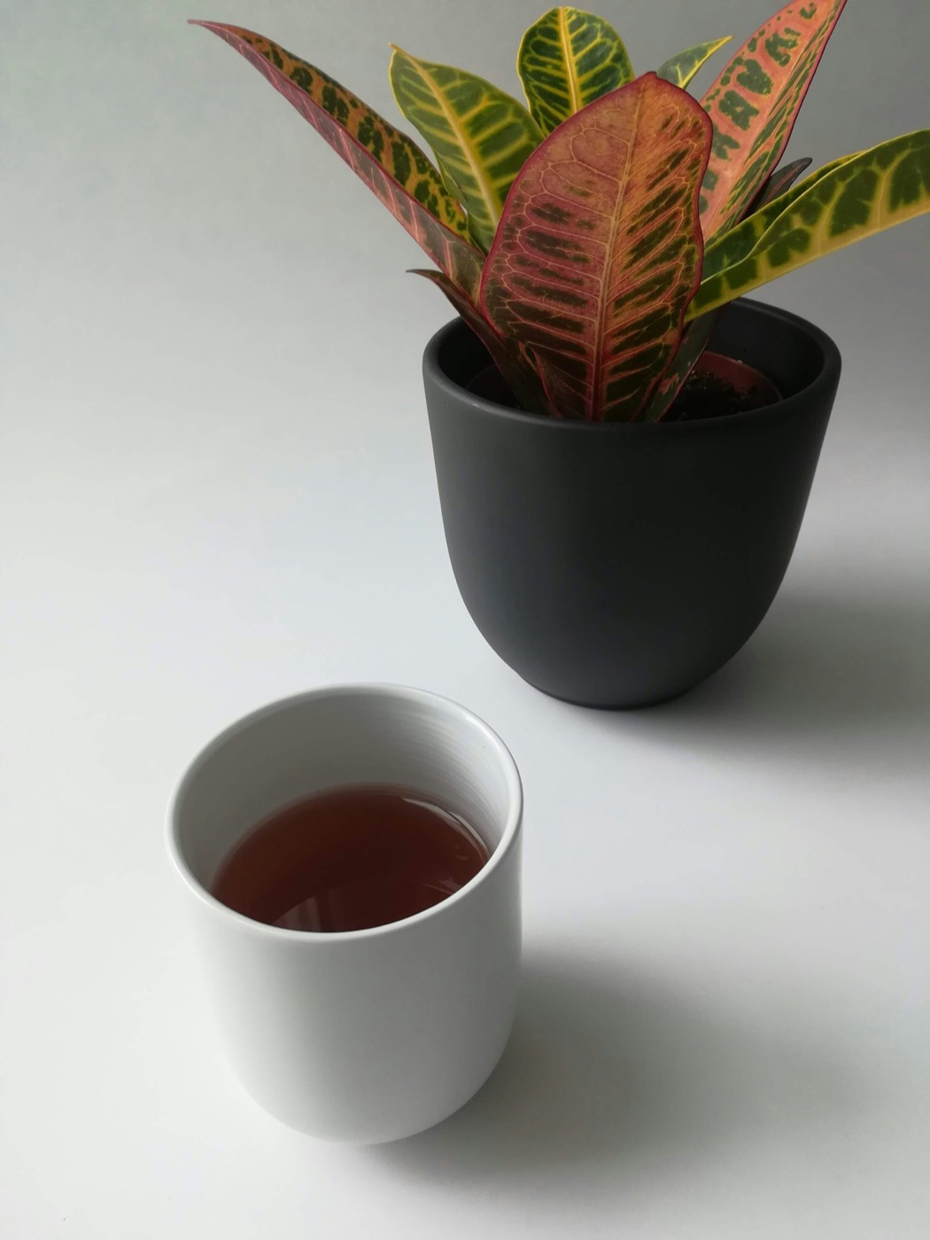 Tazza di hojicha, il tè verde tostato dal colore ambrato, in un café giapponese