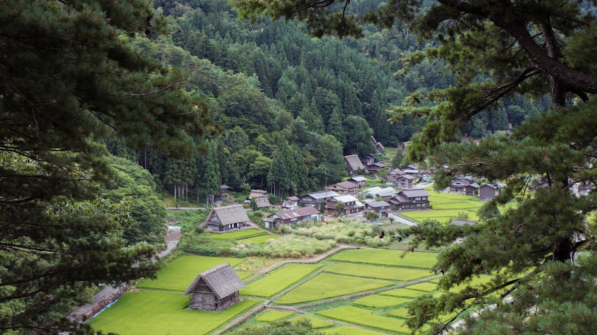 Il villaggio di Shirakawa-go visto dall'alto, tra risaie e montagne