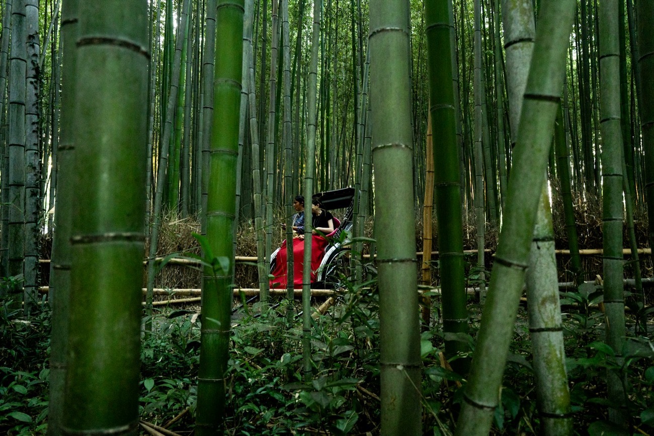 Un risciò tra gli altissimi bambù della foresta di Arashiyama, a Kyoto