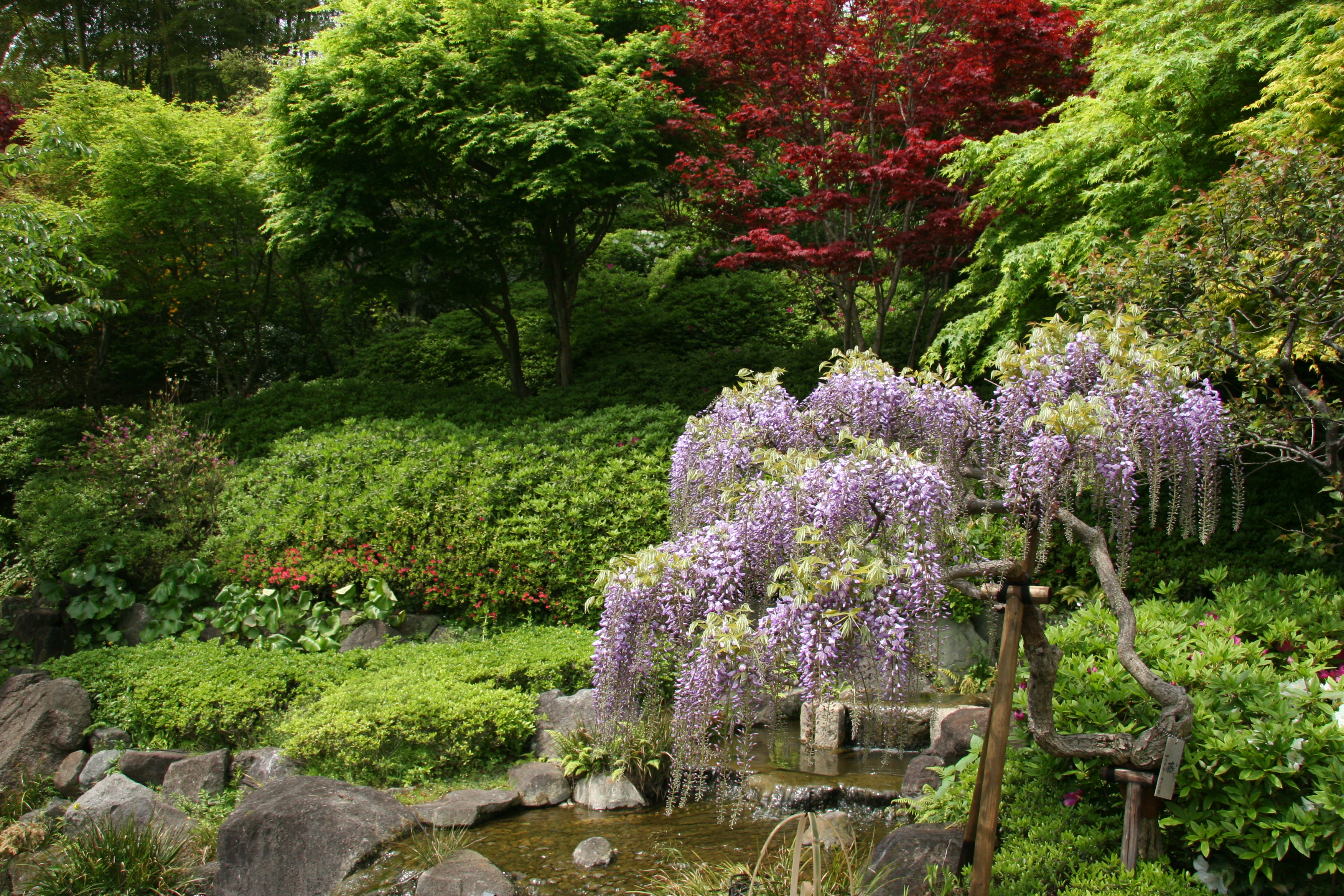 Il tempio Hasedera di Kamakura con le statue di Kannon e il giardino terrazzato