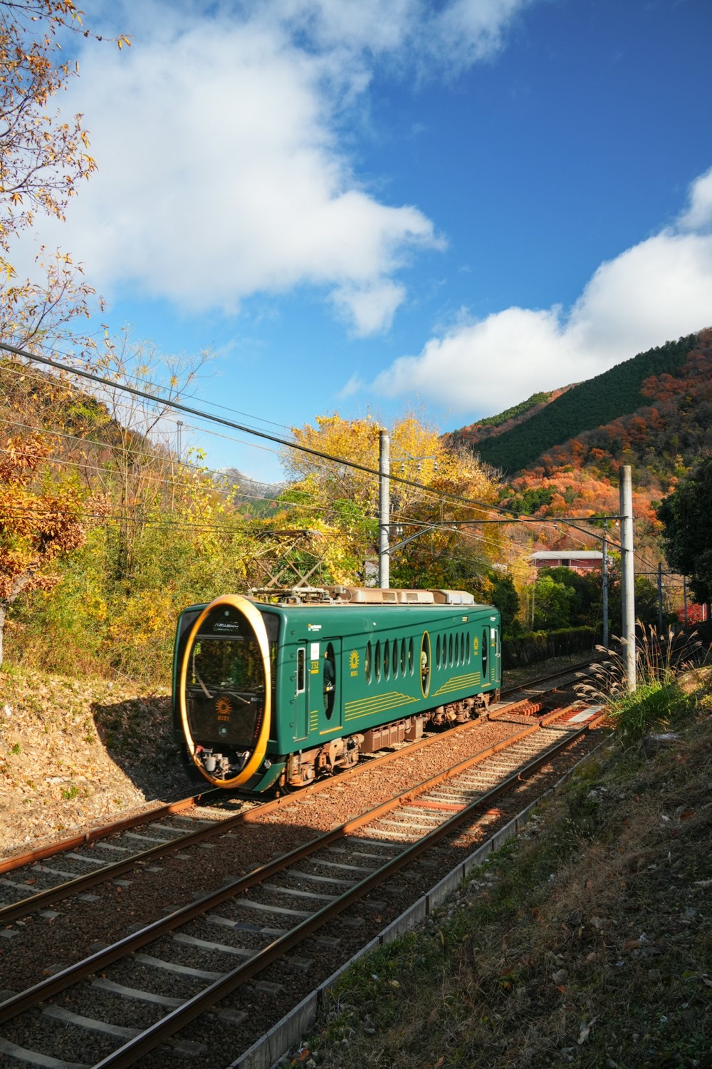Un treno verde di una ferrovia privata del Kansai attraversa una valle tra gli aceri d'autunno