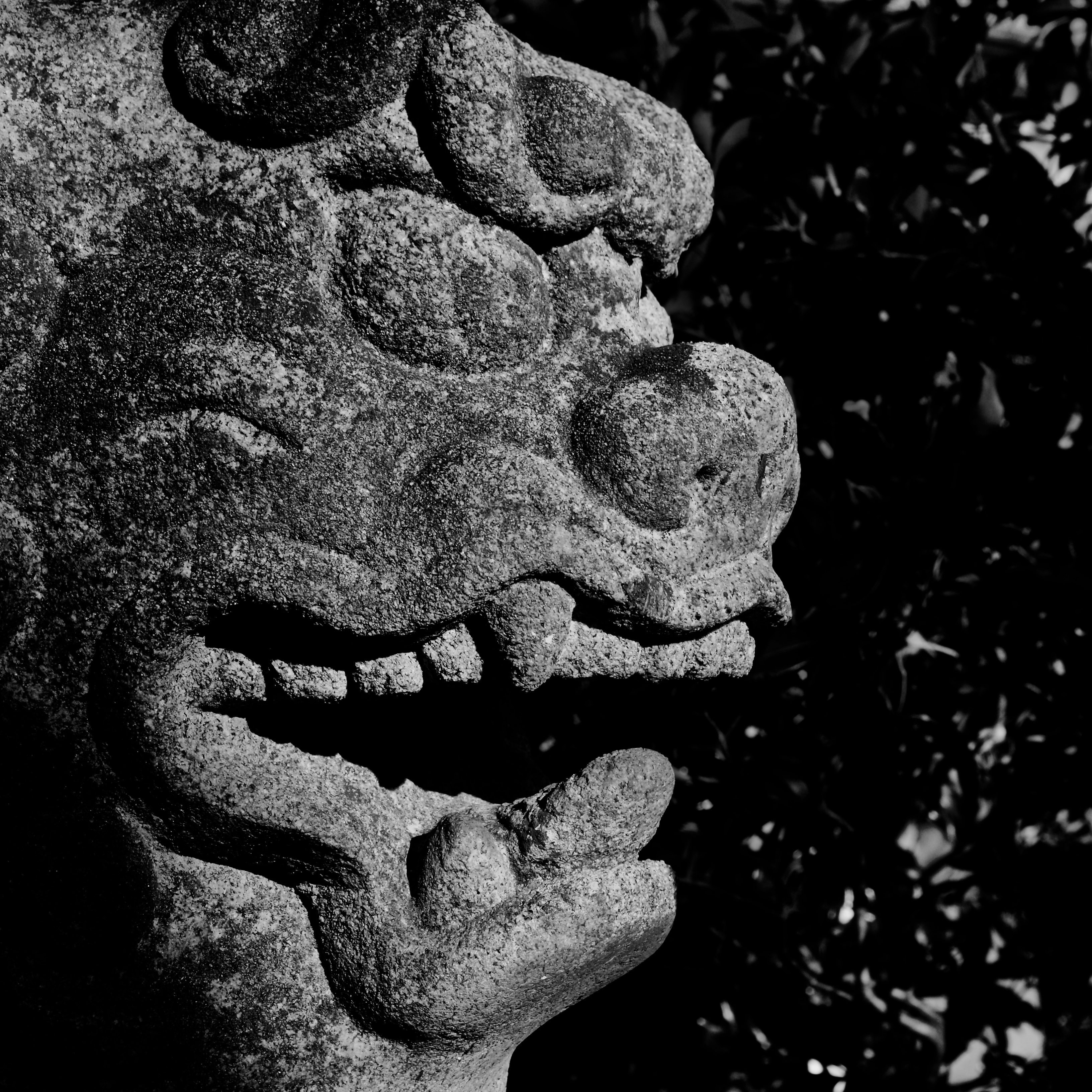 Statua di komainu, il leone-cane guardiano all'ingresso di un santuario shintoista