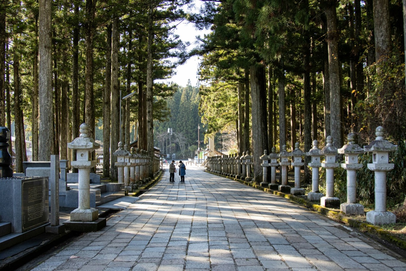 Il viale di pietra di Okunoin a Koyasan, con i monaci che camminano tra i cedri giganti e le lanterne
