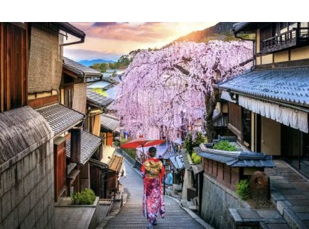 Un vicolo storico di Kyoto con i ciliegi e una donna in kimono