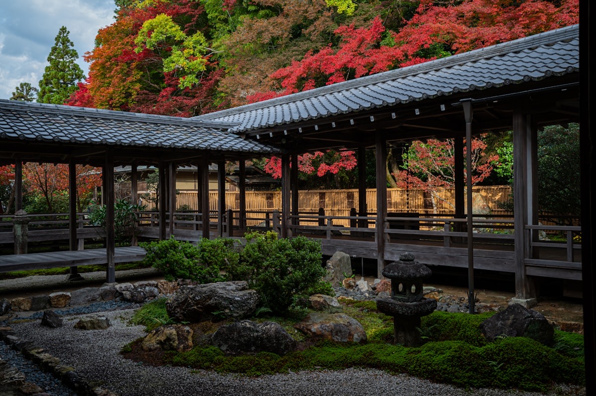 Un tempio di Kyoto con passerella in legno, giardino di muschio e aceri rossi