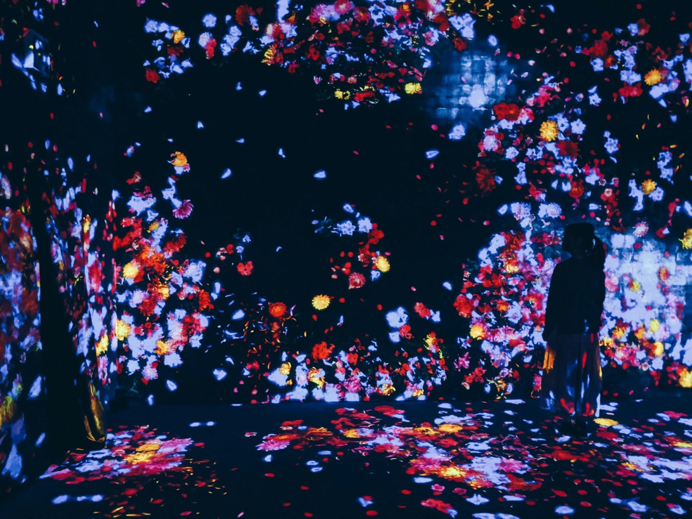 La sala dei fiori di teamLab: fiori colorati proiettati su pareti e pavimento, con una figura in mezzo