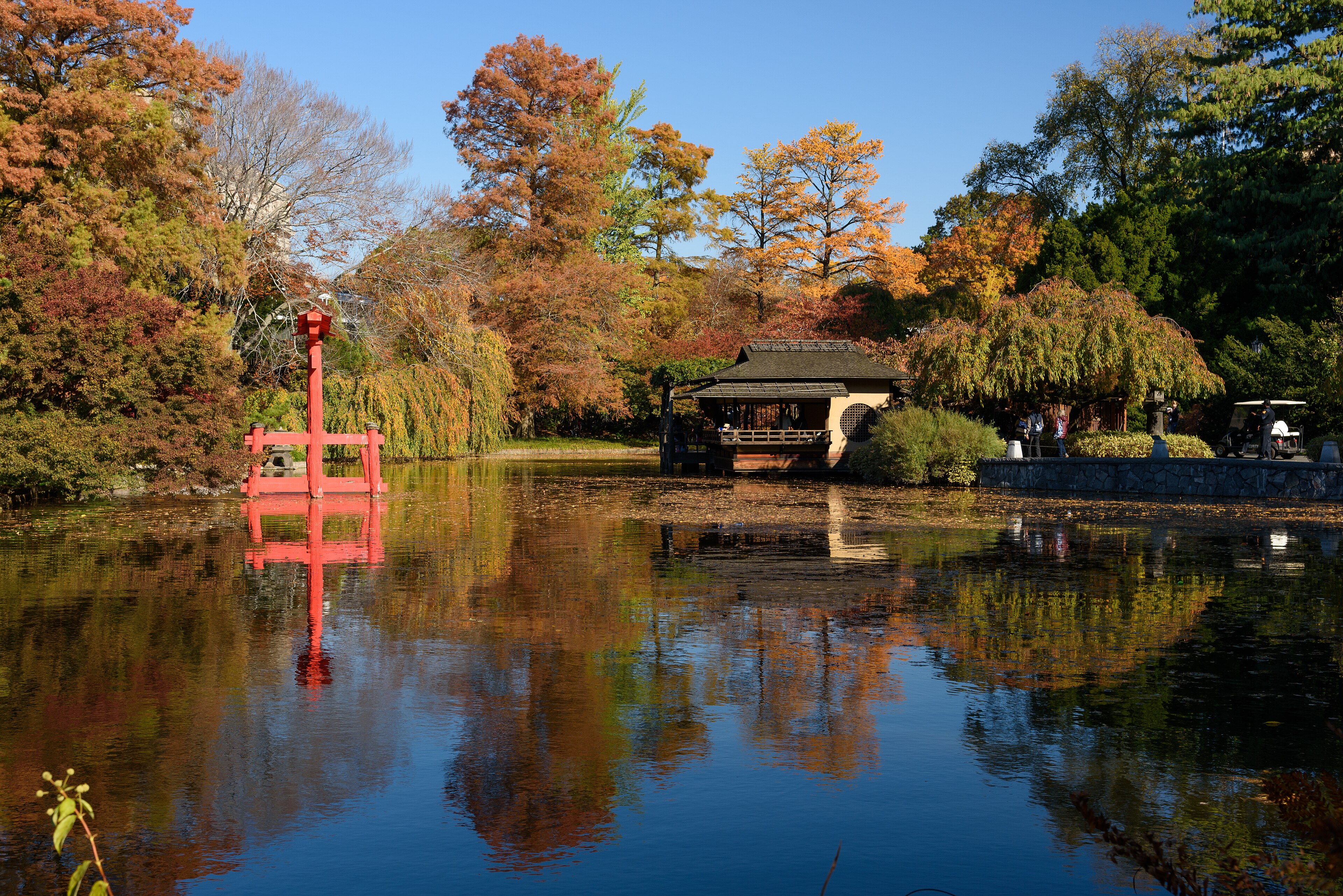 Torii riflesso perfettamente in uno stagno immobile, immagine iconica del Giappone