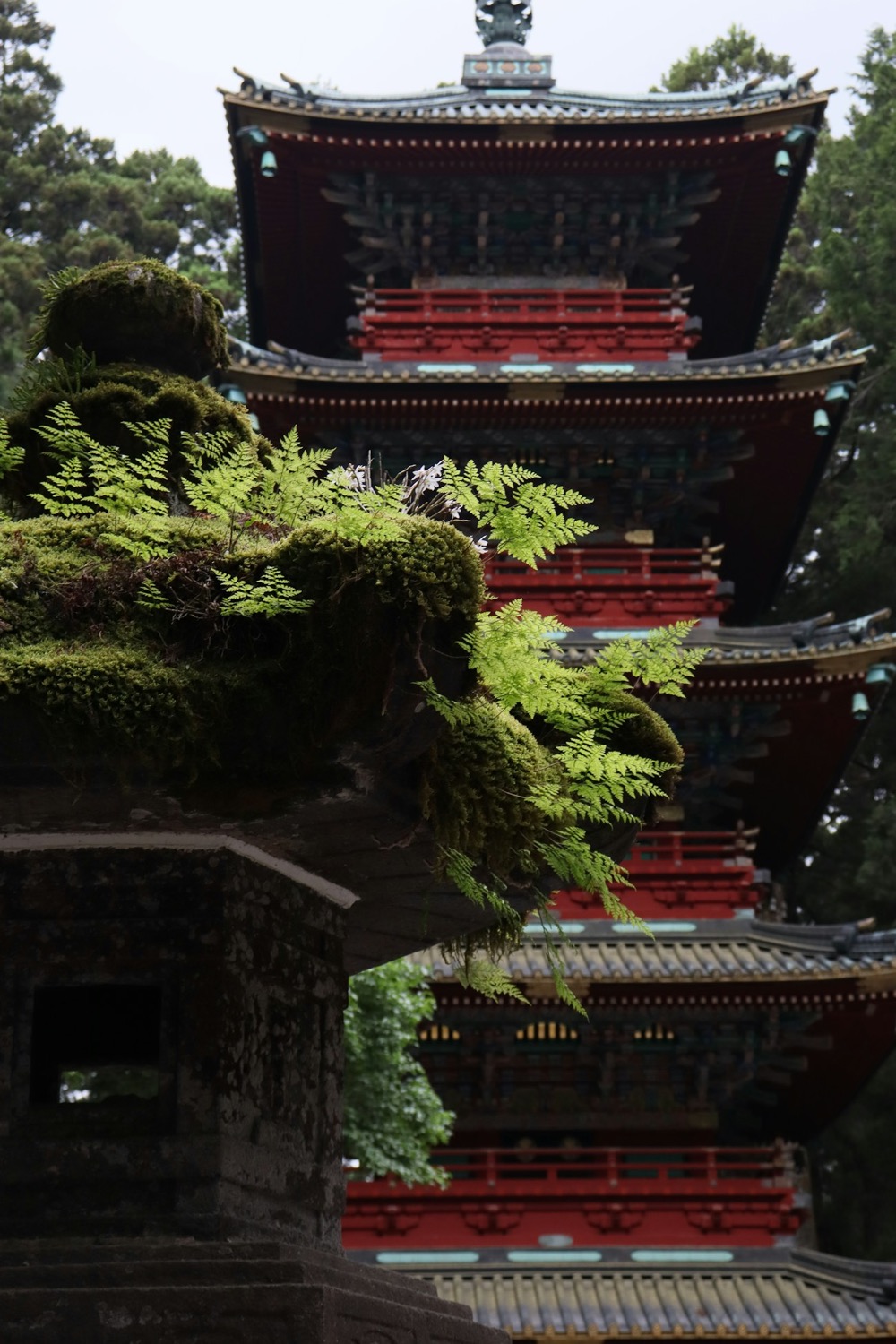 Le pareti finemente intagliate e dorate del santuario di Nikko Toshogu, tra i cedri, con lanterne di pietra