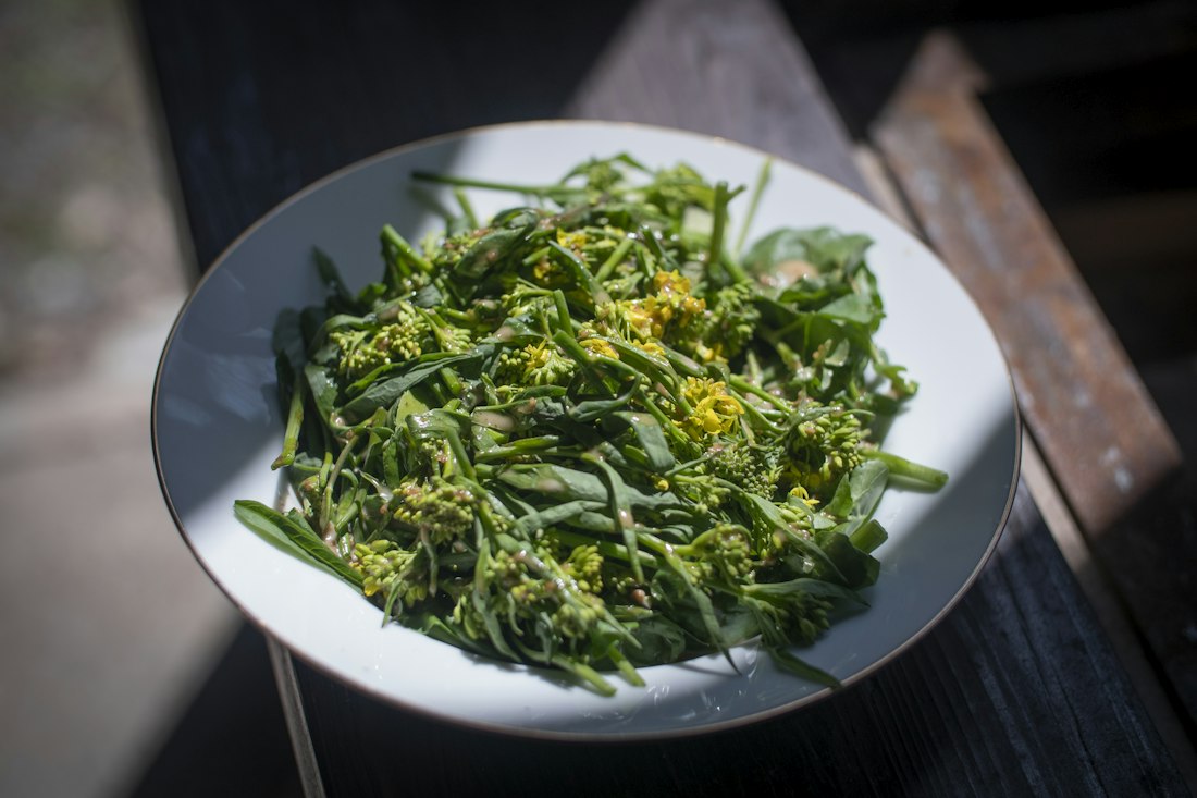Un piatto bianco di verdure di primavera con piccoli fiori gialli, condite in modo semplice